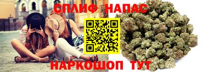 СК Конаково