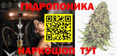 СК Конаково