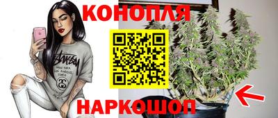 гидра Комсомольск-на-Амуре
