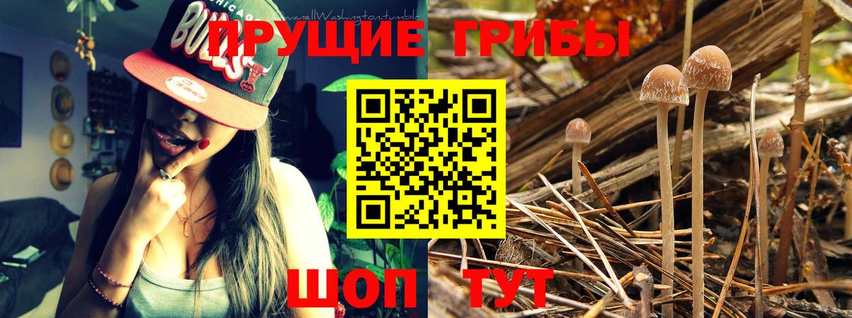 Галлюциногенные грибы мицелий Калач-на-Дону