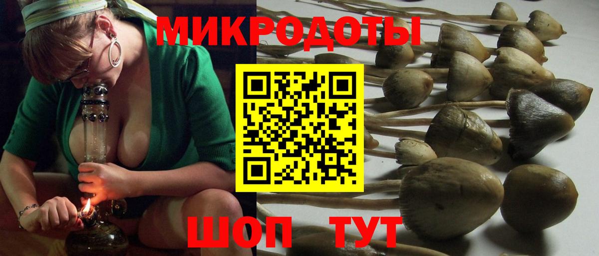 сколько стоит  Вход с VPN  Калач-на-Дону  Галлюциногенные грибы мицелий 